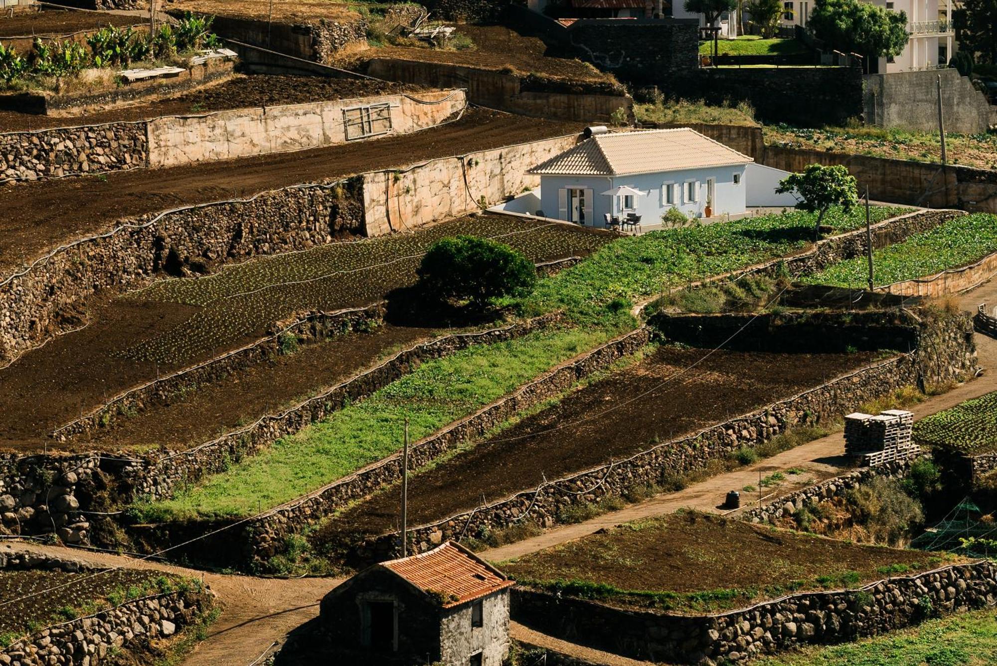 Casa Ti'Rosa Villa Canico  Bagian luar foto